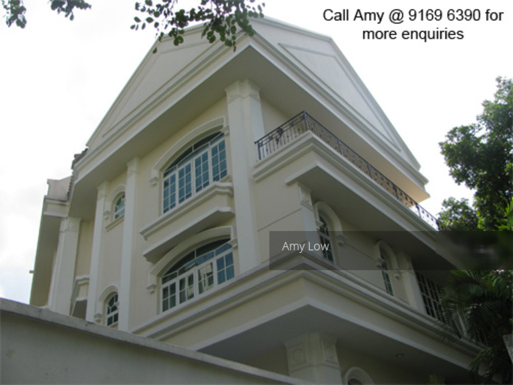 Robin Road thumbnail photo